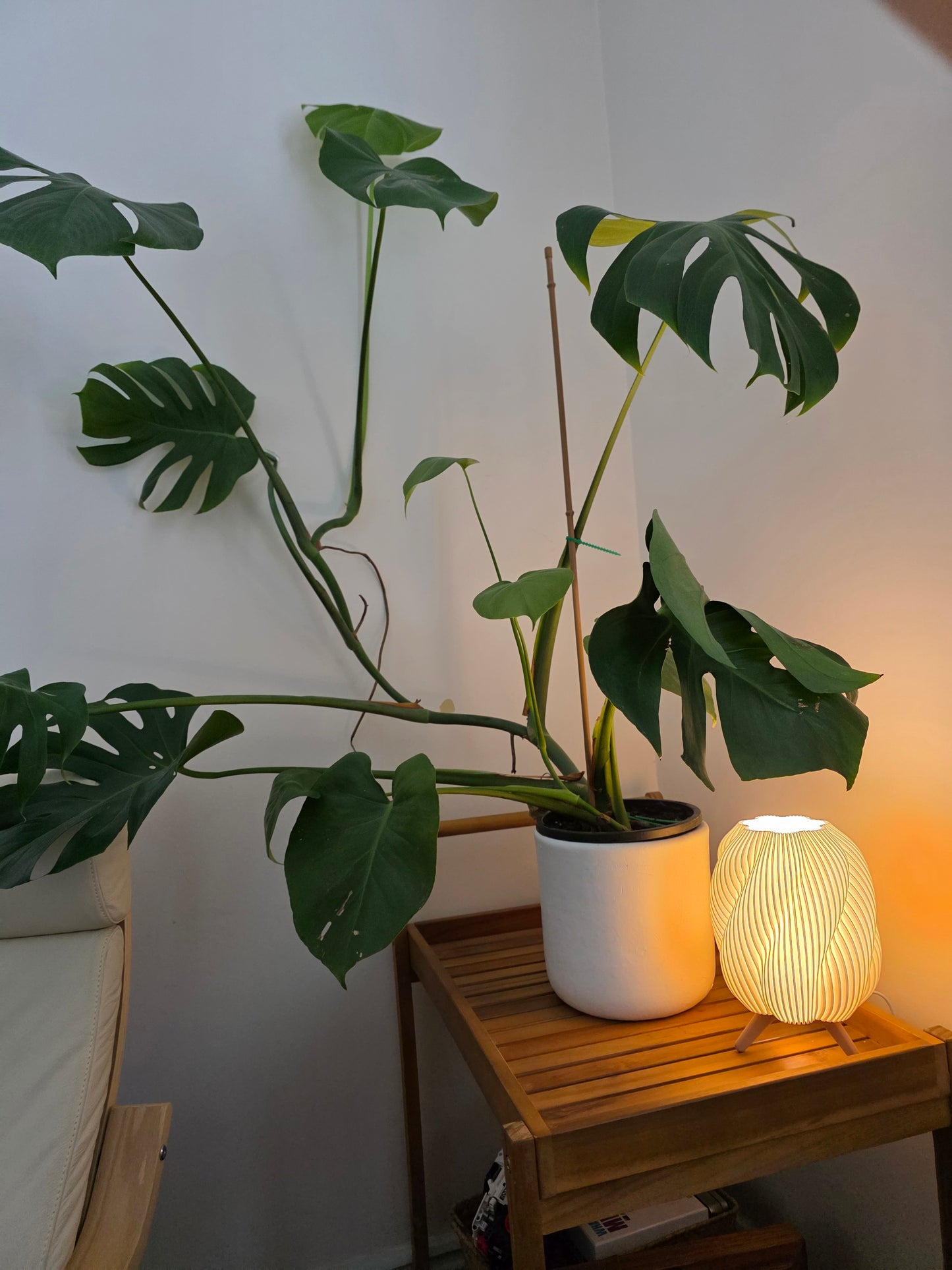 Original Humble Lamp